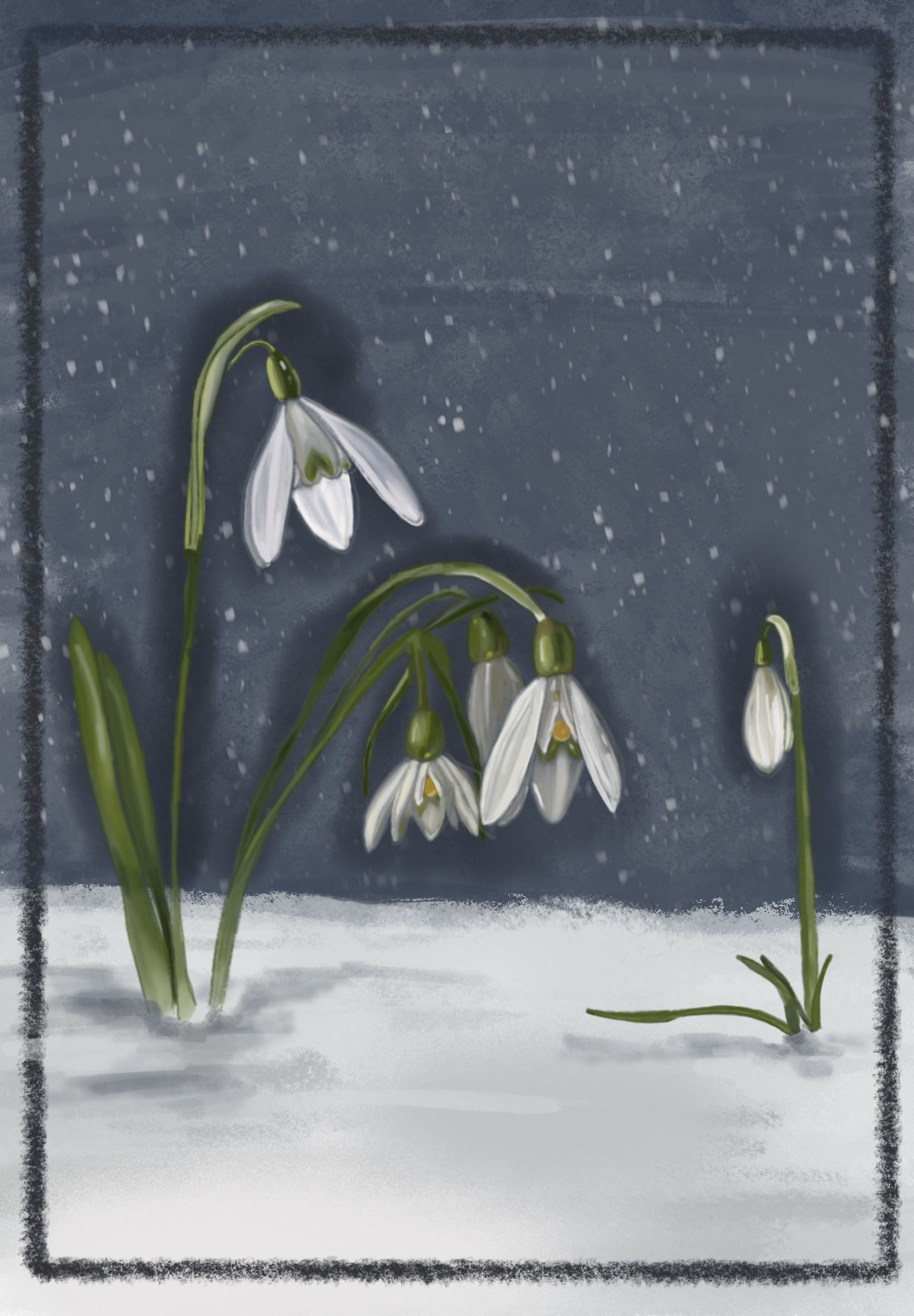 Sneeuwklokje Card